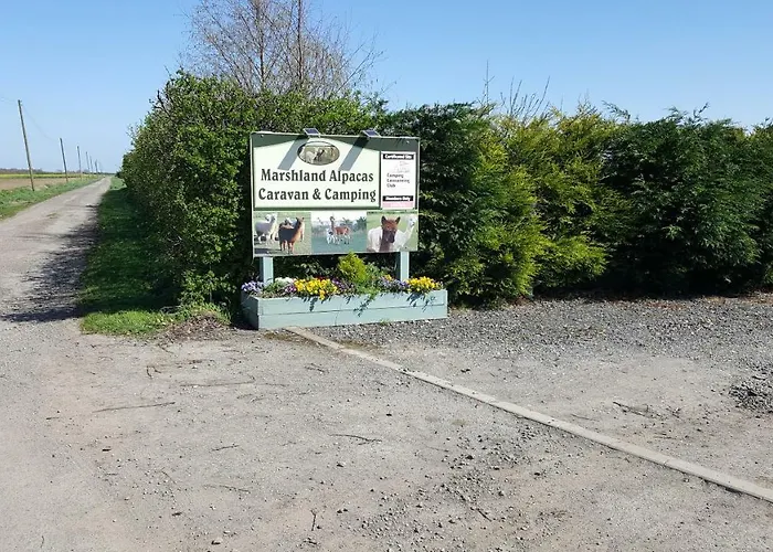 Marshland Alpacas Glamping Lodge