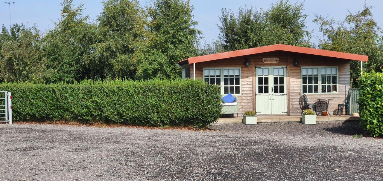 Marshland Alpacas Glamping *