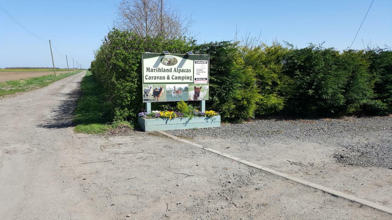 Marshland Alpacas Glamping Campsite